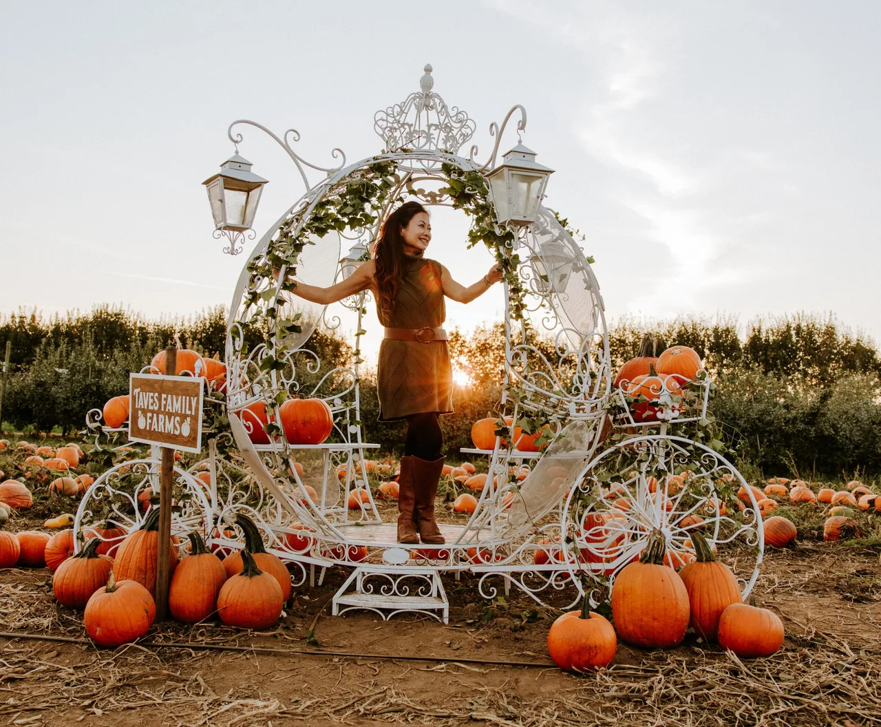 Pumpkin carriage in the Taves Family Farms pumpkin field